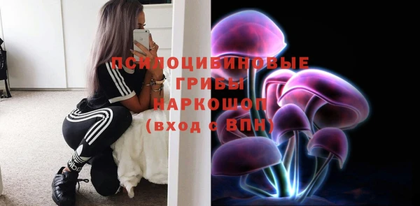 герыч Арсеньев