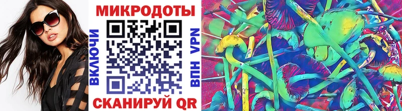 где купить наркоту  Поворино  Галлюциногенные грибы Psilocybine cubensis 